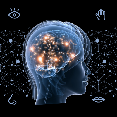 Get to know your brain