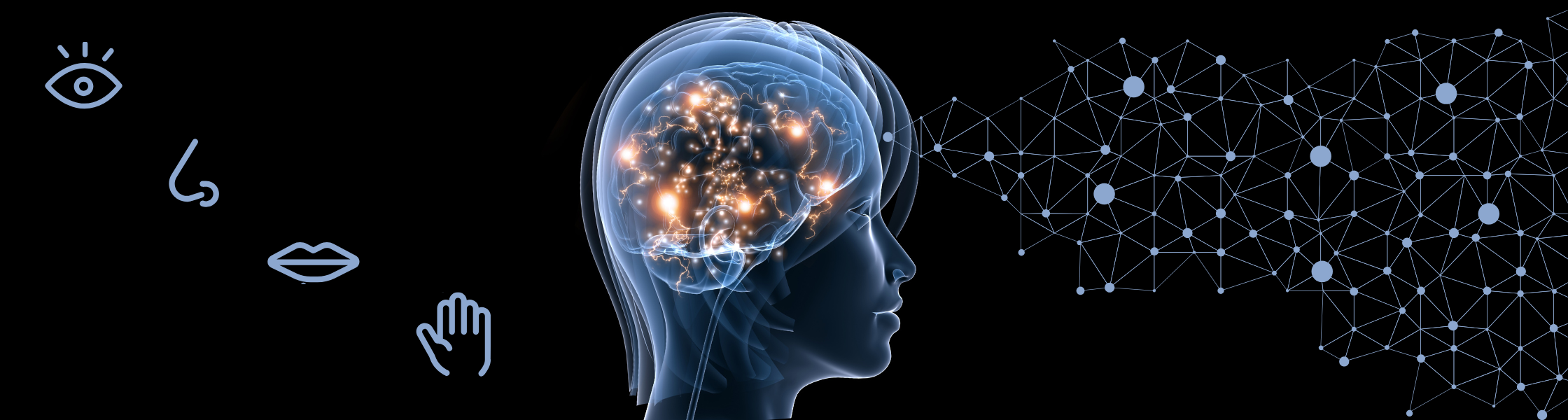 Picture of a human silhouette with brain